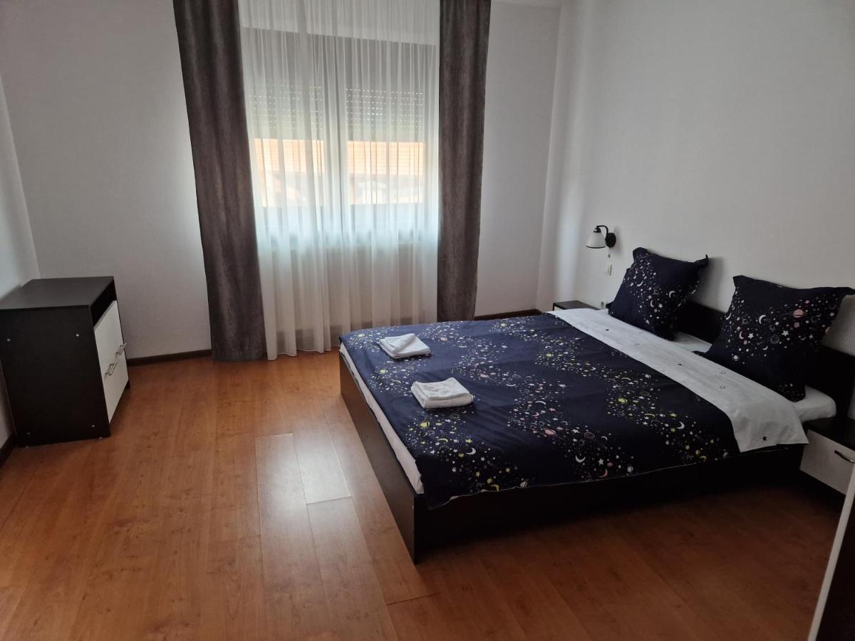 Pensiunea Carul Mare Rasinari Exterior foto